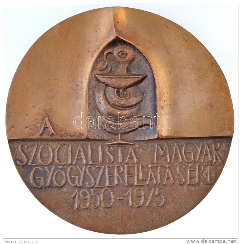 Ligeti Erika (1934-2004) 1975. 'A Szocialista Magyar Gy&oacute;gyszerell&aacute;t&aacute;s&eacute;rt 1950-1975'... - Unclassified