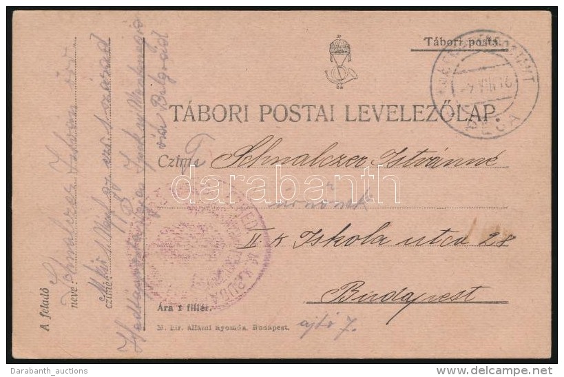 1916 T&aacute;bori Posta LevelezÅ‘lap / Field Postcard M. Kir. 1. N&eacute;pfelkelÅ‘ Gyalog Ezred 1. Sz&aacute;zad... - Other & Unclassified