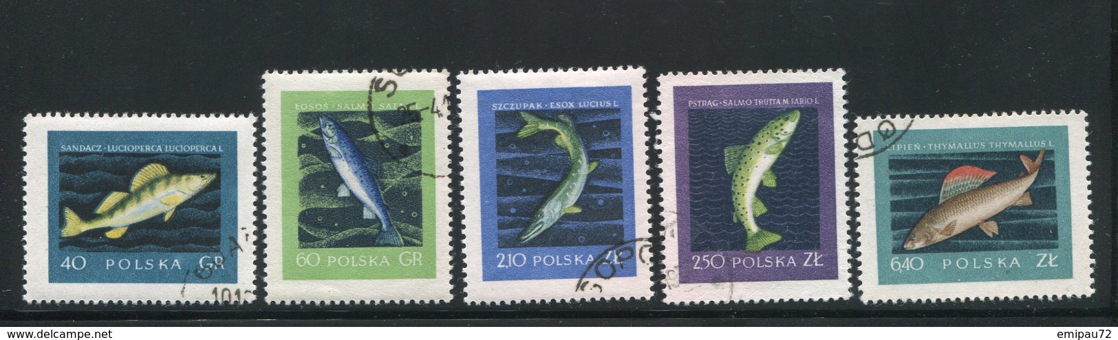 POLOGNE- Y&T N°928 à 932- Oblitérés (poissons) - Used Stamps