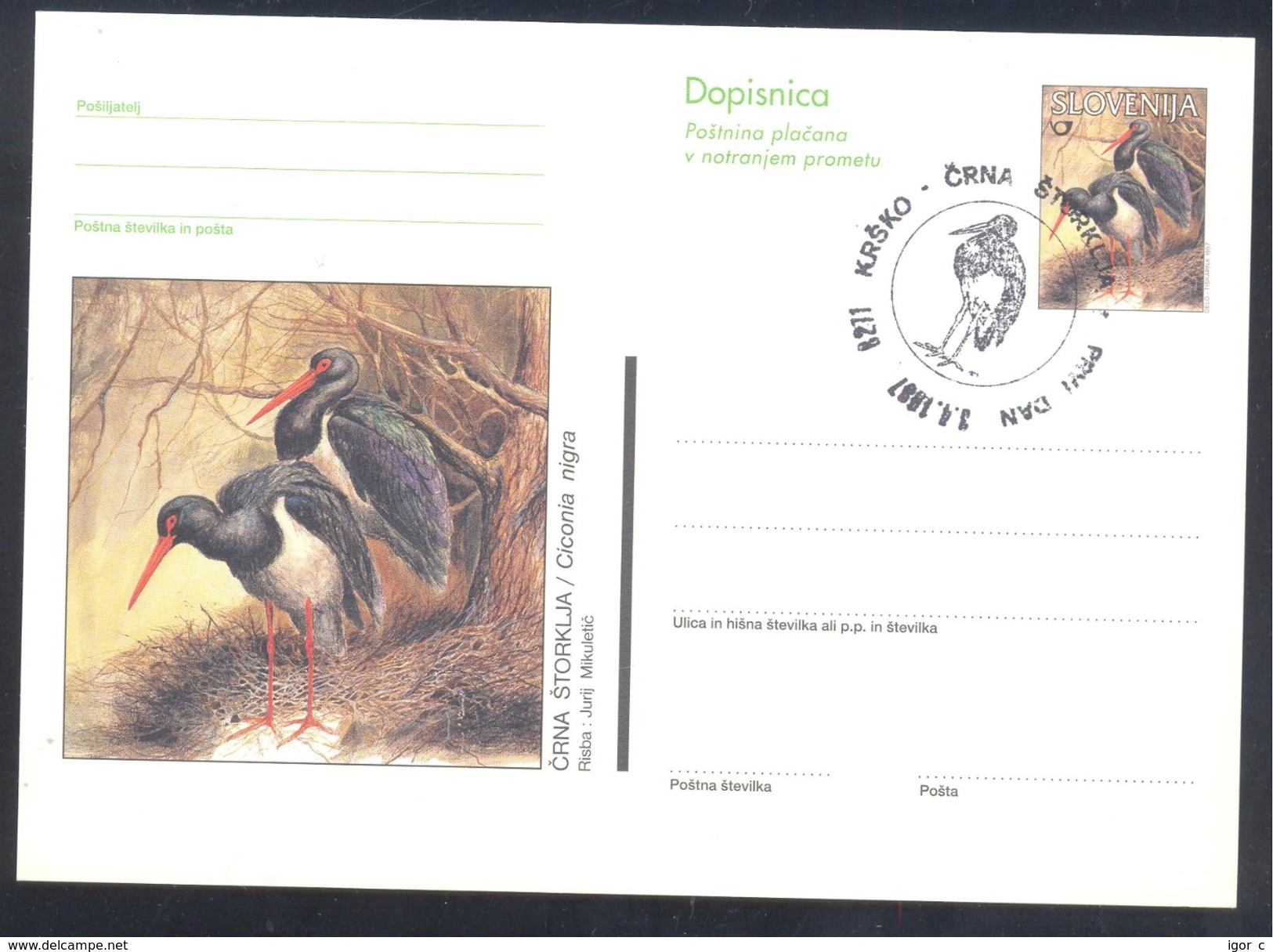 Slovenia 1997 Postal Stationery Card: Fauna Storch Stork Cigogne; The Black Stork (Ciconia Nigra) - Swans