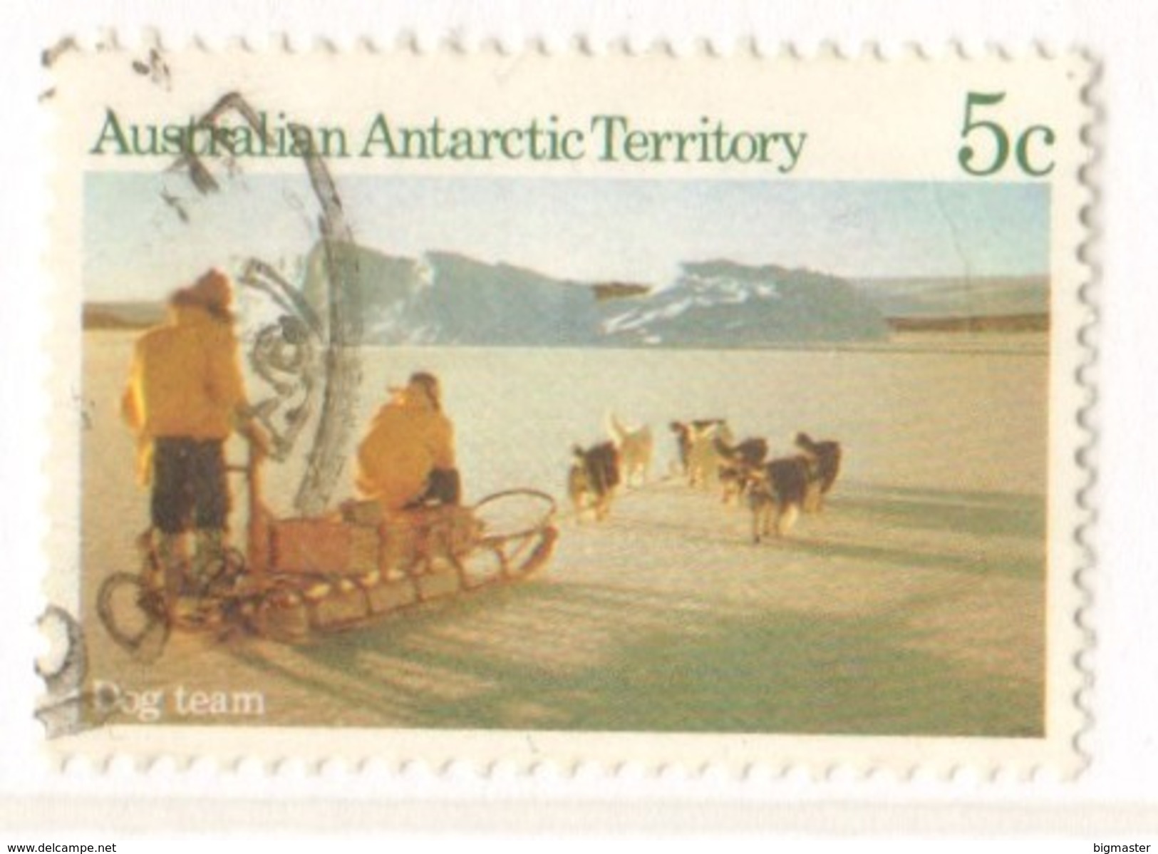 Territorio Antartide Australiano 1984  Dog Team 5c. Fine Used - Usati