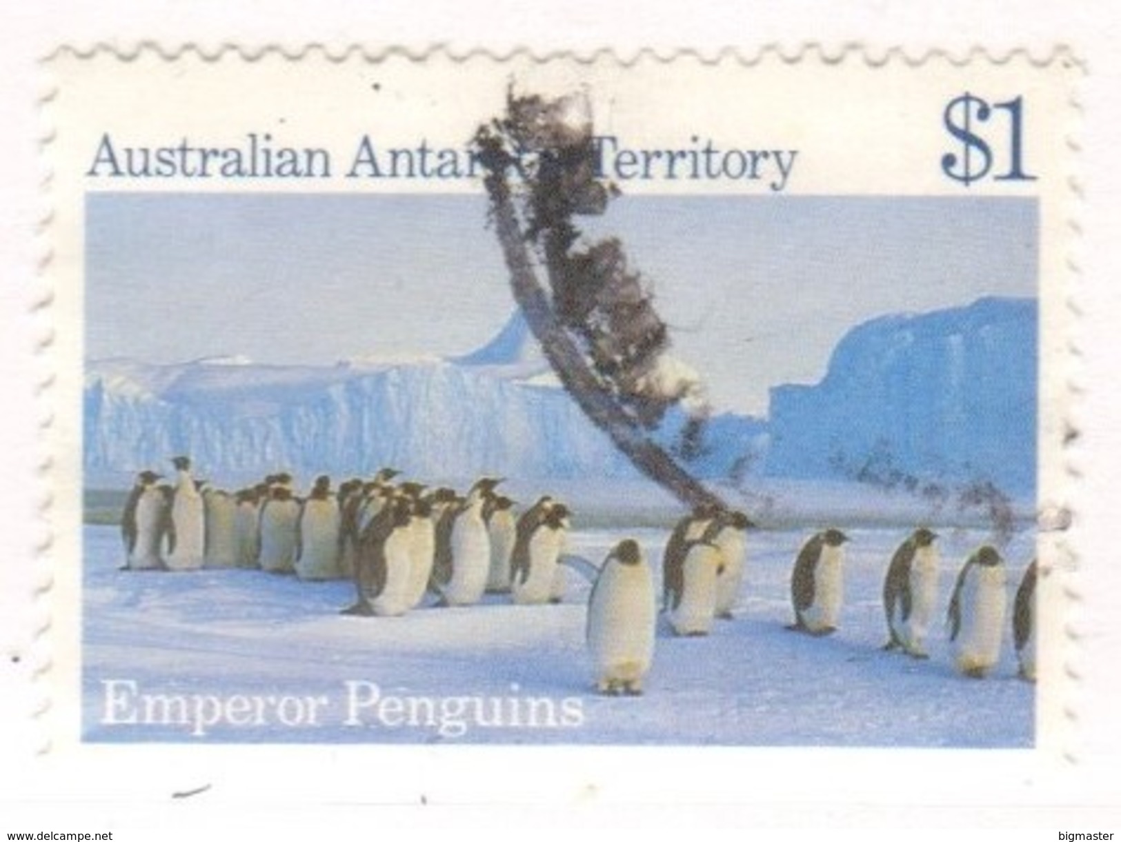 Territorio Antartide Australiano 1985 72 Emperor Penguin (Aptenodytes Forsteri) Fu - Usati