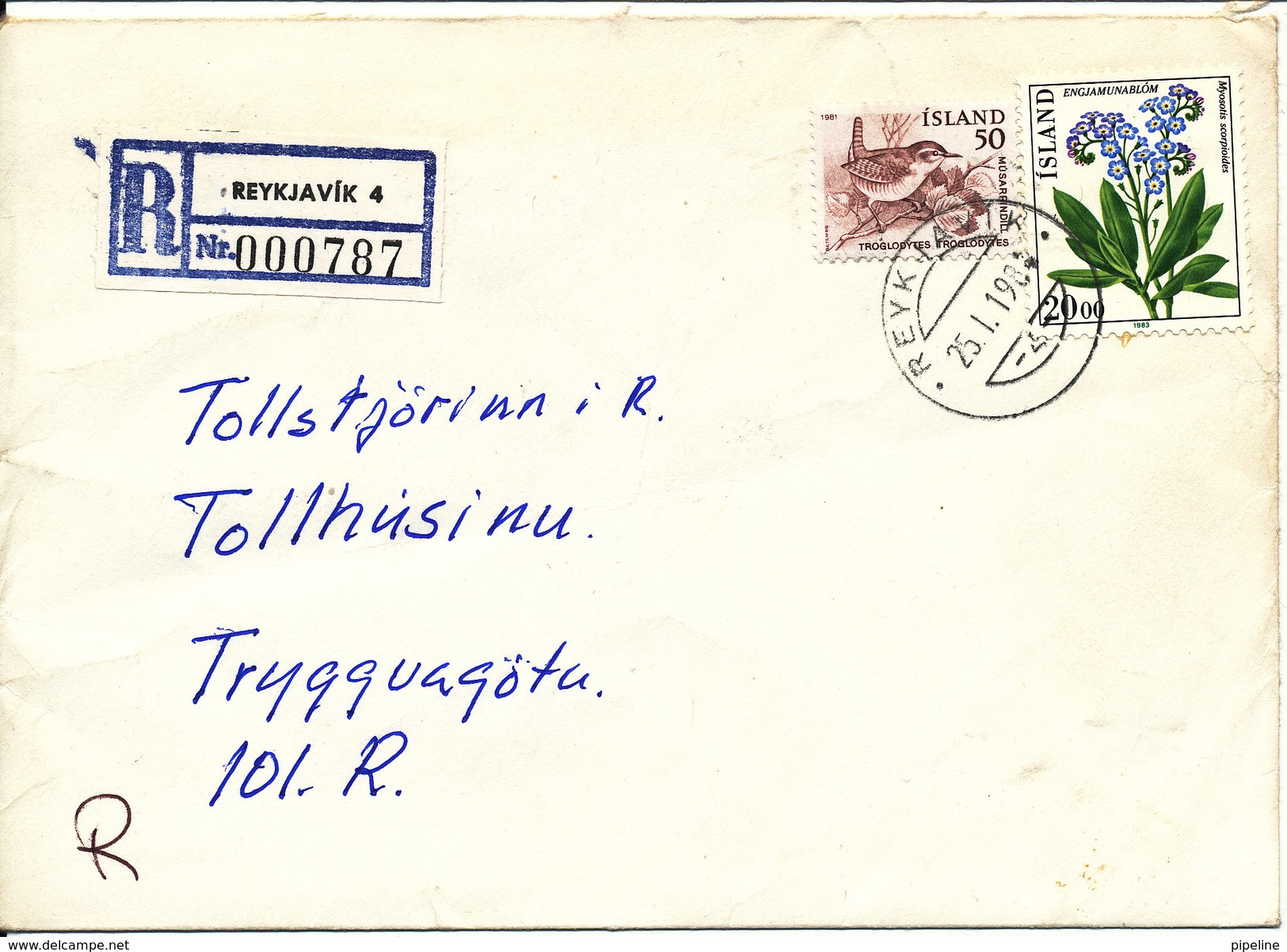 Iceland Registered Cover Reykjavik 4 25-1-1984 Flower And BIRD On The Stamps - Covers & Documents