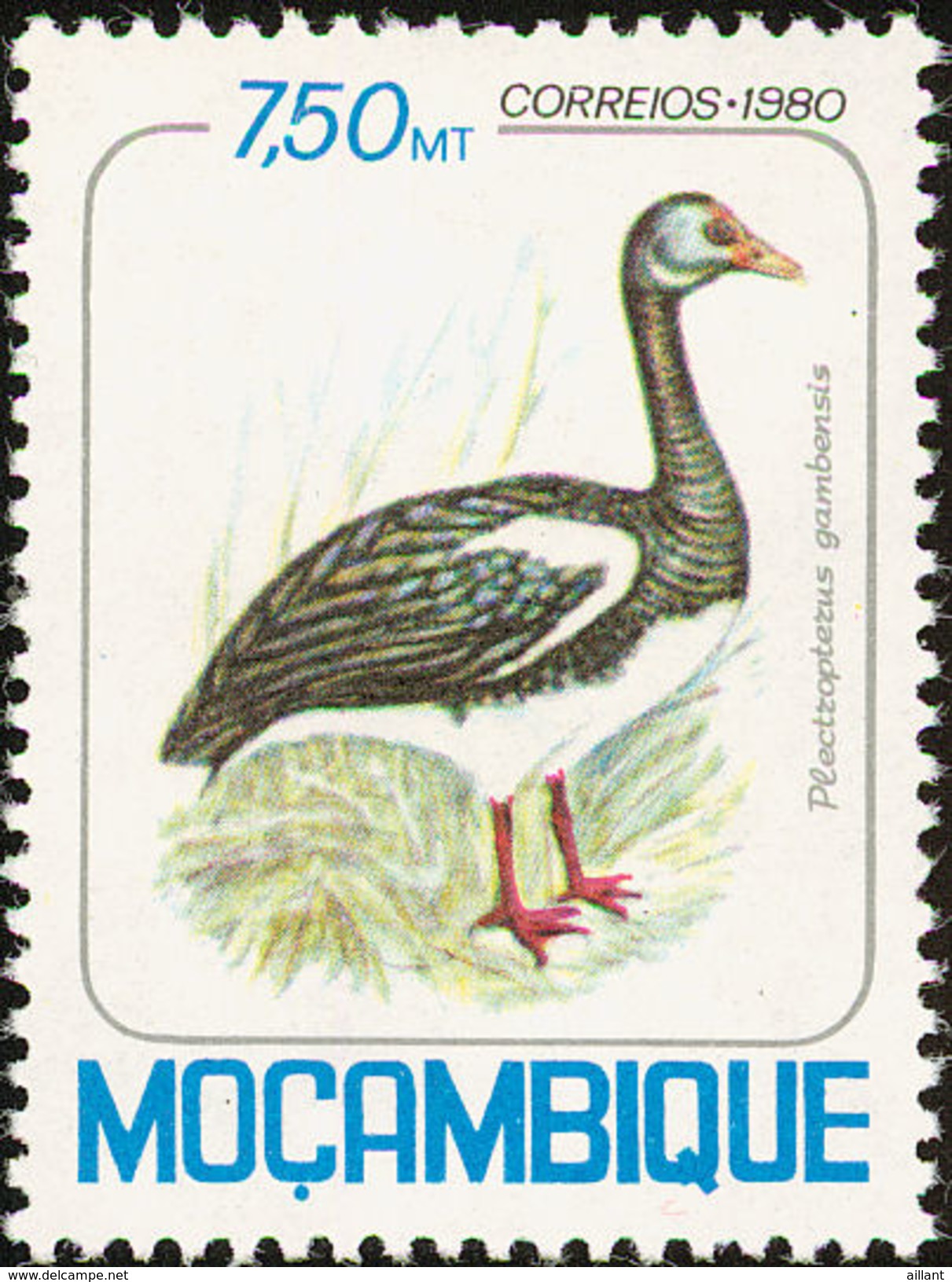 Mozambique. 1980  Spur-winged Goose    Plectropterus Gambensis - Gänsevögel