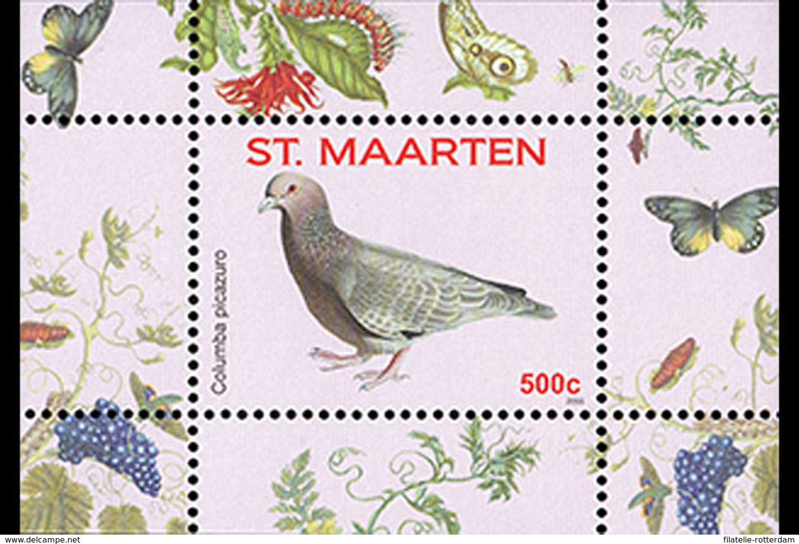 Sint Maarten / Dutch Caribbean - Postfris / MNH - Miniaturesheet Vogels, Columba 2016 Very Rare!! - Curaçao, Antilles Neérlandaises, Aruba