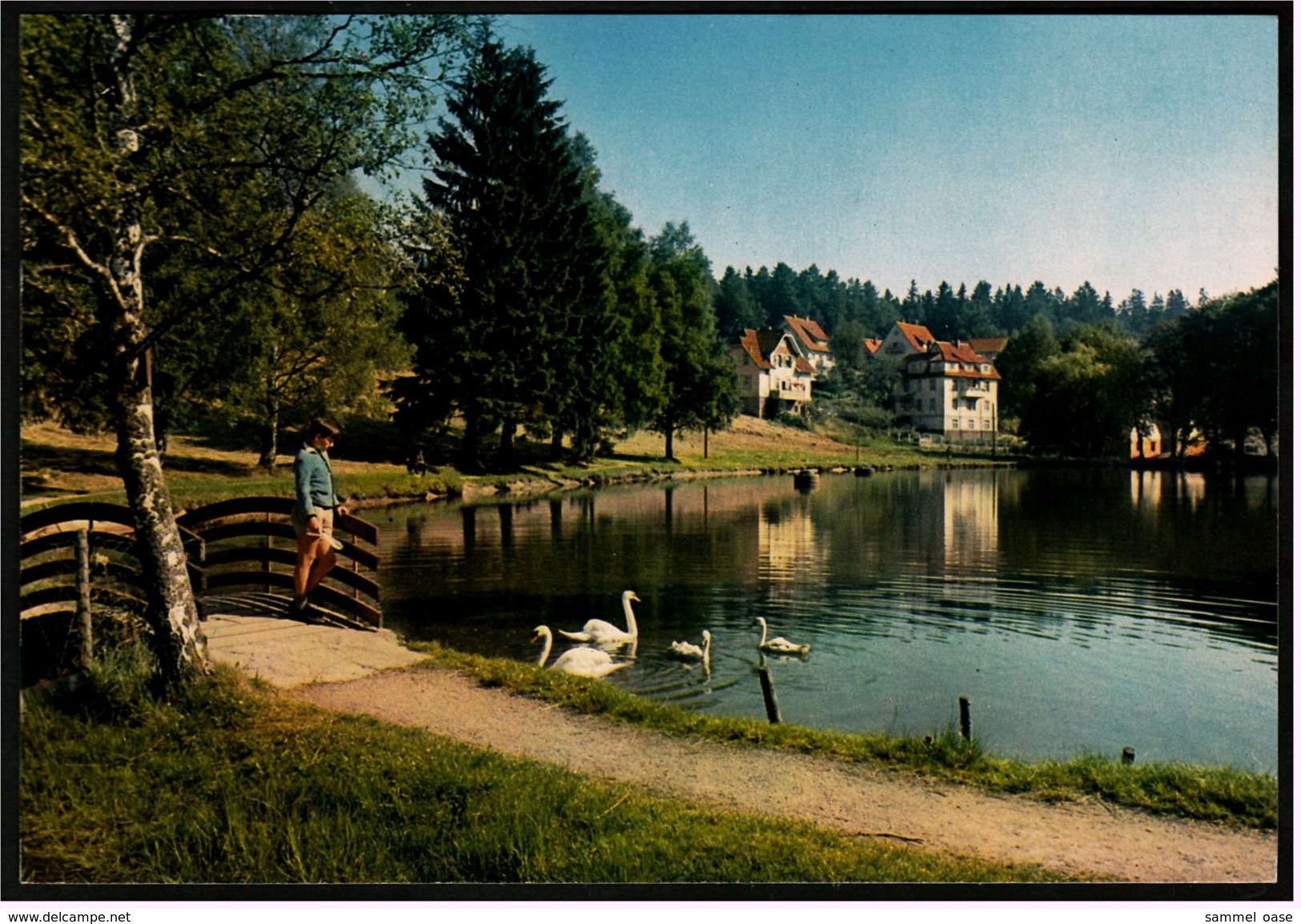 Königsfeld Bei Schramberg /  Schwarzw. -  Partie Am Sägeweiher  -  Ansichtskarte Ca.1970  (6820) - Schramberg