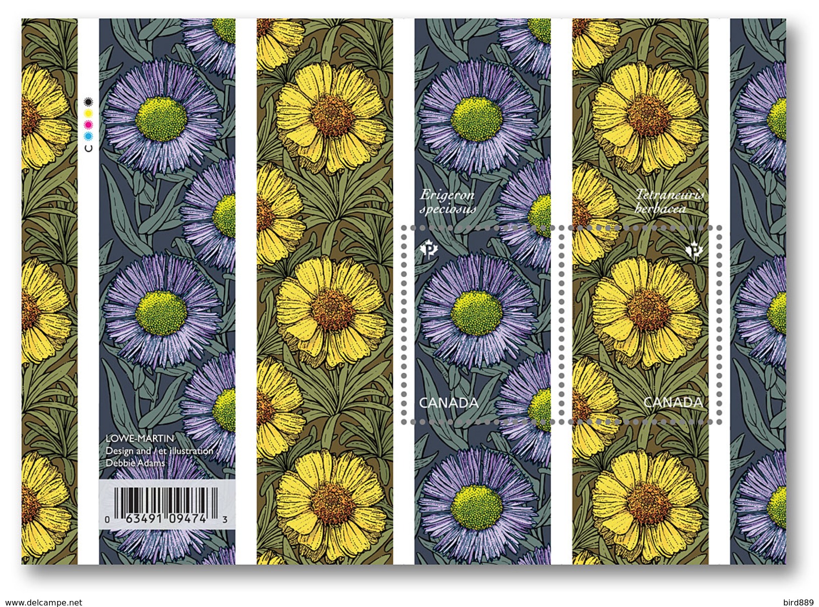 2017 Canada Flower Daisies Mini Sheet Permanent Rate MNH - Nuovi