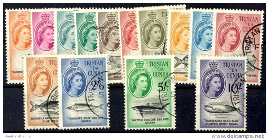 "Fische", Kpl. Tadellos Gestempelte Dauerserie, Mi. 120,--, Katalog: 28/41 OFish, Complete In Perfect Condition... - Tristan Da Cunha