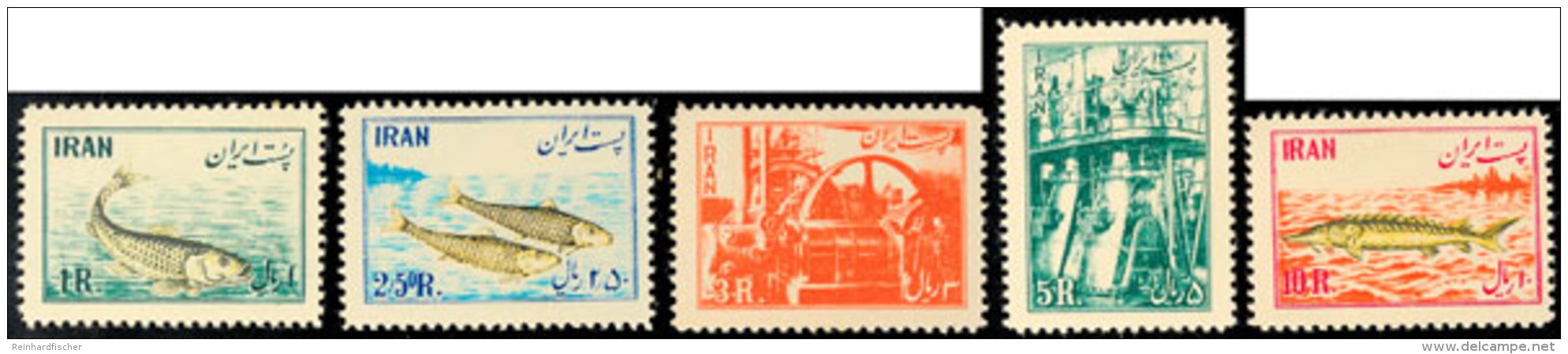 1954, Fischindustrie, Postfrischer Prachtsatz, Mi. 130,-, Katalog: 898/902 **1954, Fishing Industry, Unhinged... - Iran