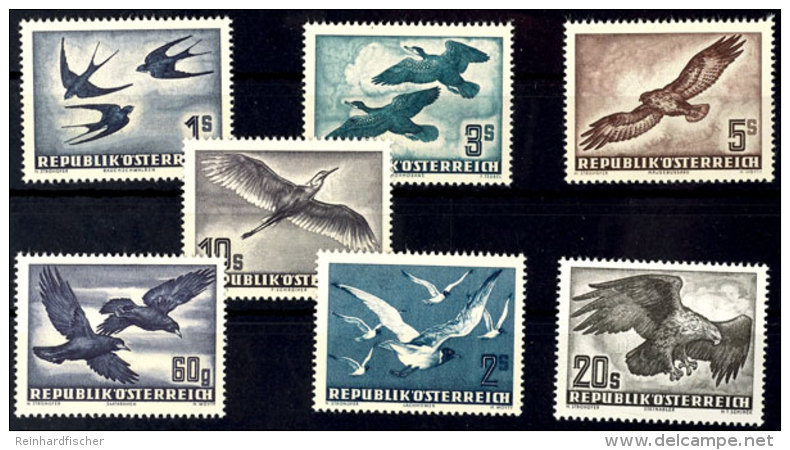 1950/53, V&ouml;gel Kpl. Inkl. Der Erg&auml;nzungswerte MiNr. 955/56 Und 968, Tadellos, Mi. 382,--, Katalog: 984/87... - Sonstige & Ohne Zuordnung