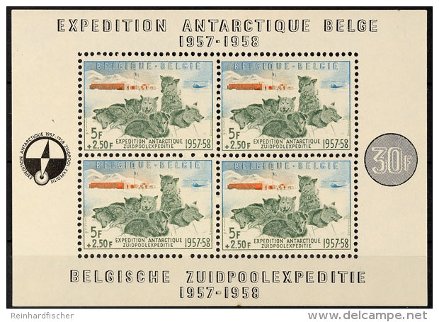 S&uuml;dpolar-Expeditionsblock, Postfrisch Tadellos, Mi. 180,-, Katalog: Bl. 25 **South Pole Expeditionsblock,... - Andere & Zonder Classificatie