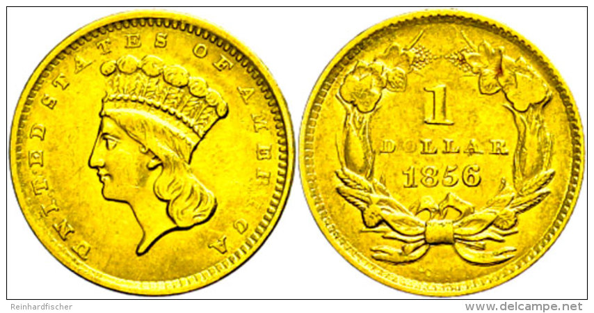 Dollar, Gold, 1856, Philadelphia, Fb. 94, Ss.  SsDollar, Gold, 1856, Philadelphia, Fb. 94, Very Fine.  Ss - Sonstige & Ohne Zuordnung