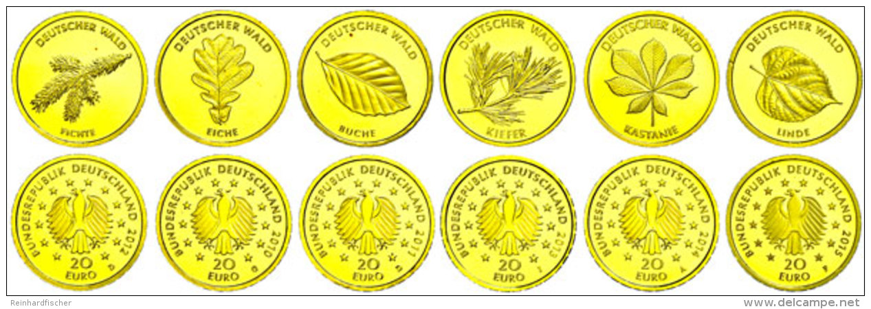 Set Zu 6 X 20 Euro, Gold, 2010-2015, Eiche-Linde, Mit Zertifikaten In Ausgabeschatulle, St.  StSet To 6 X 20... - Sonstige & Ohne Zuordnung