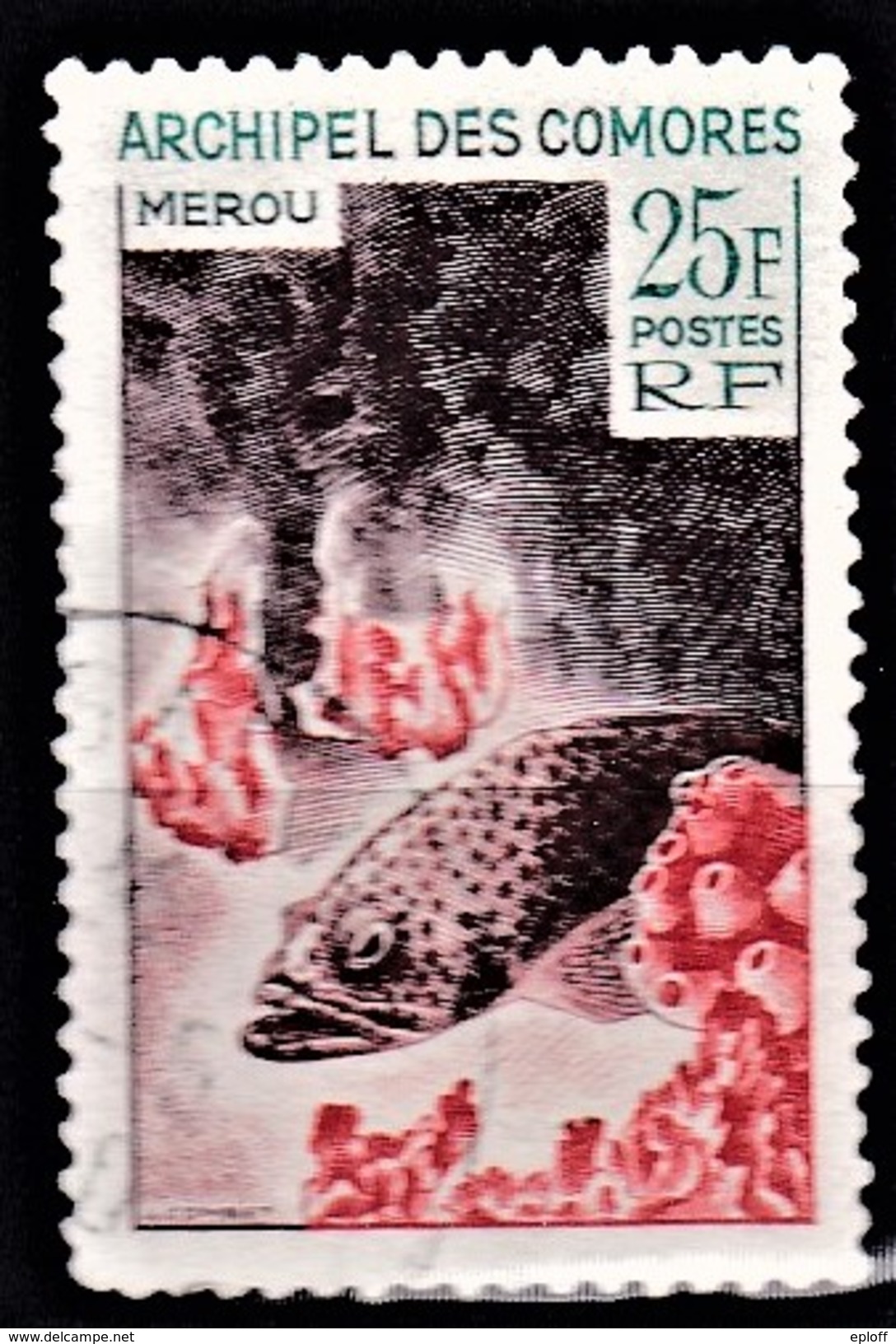 COMORES COMORO ISLANDS     Poissons   Mérou 1v. - Used Stamps