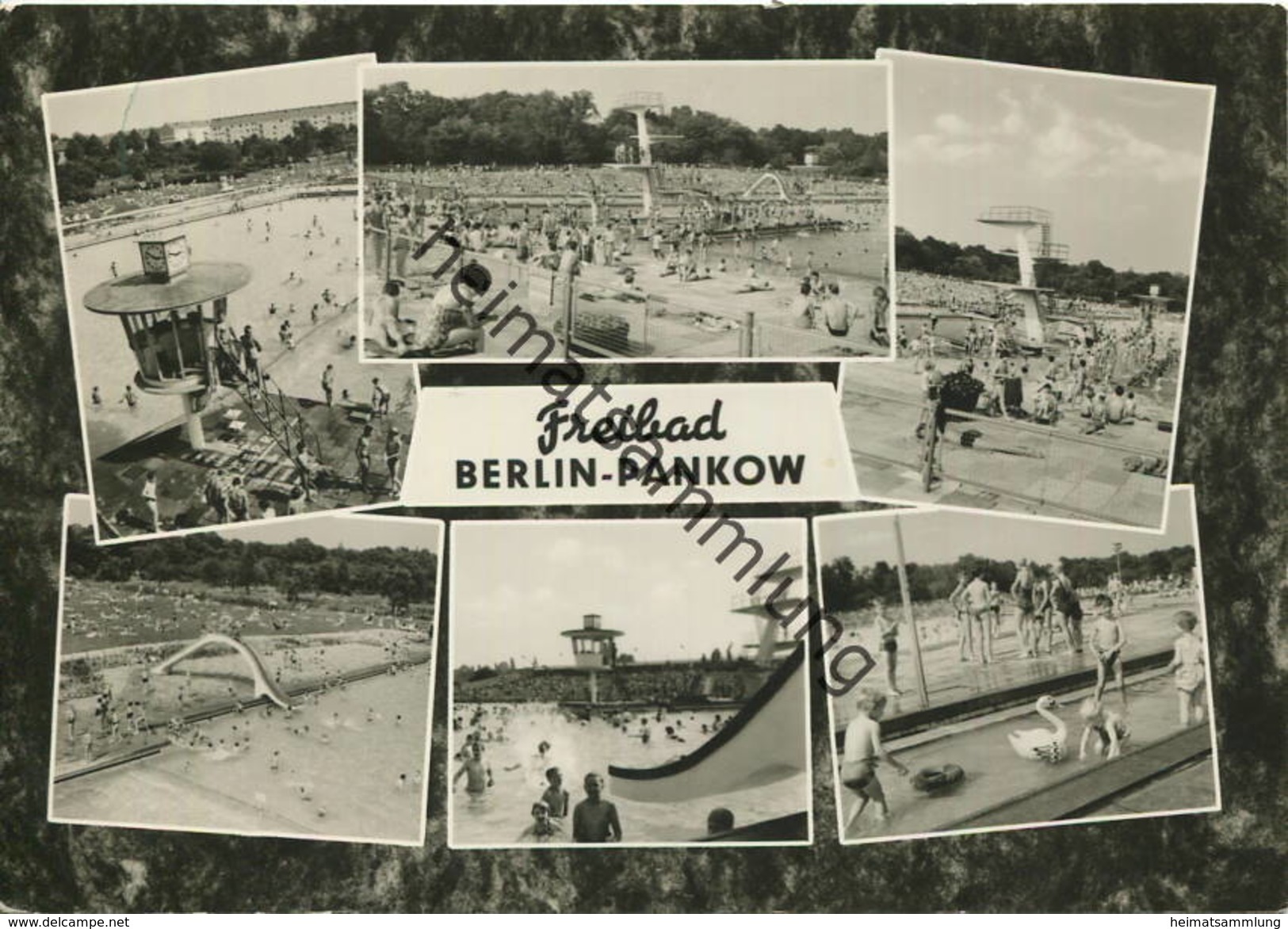 Berlin - Pankow - Freibad - Foto-AK Grossformat 1964 - Verlag H. Sander Berlin Gel. 1965 - Pankow