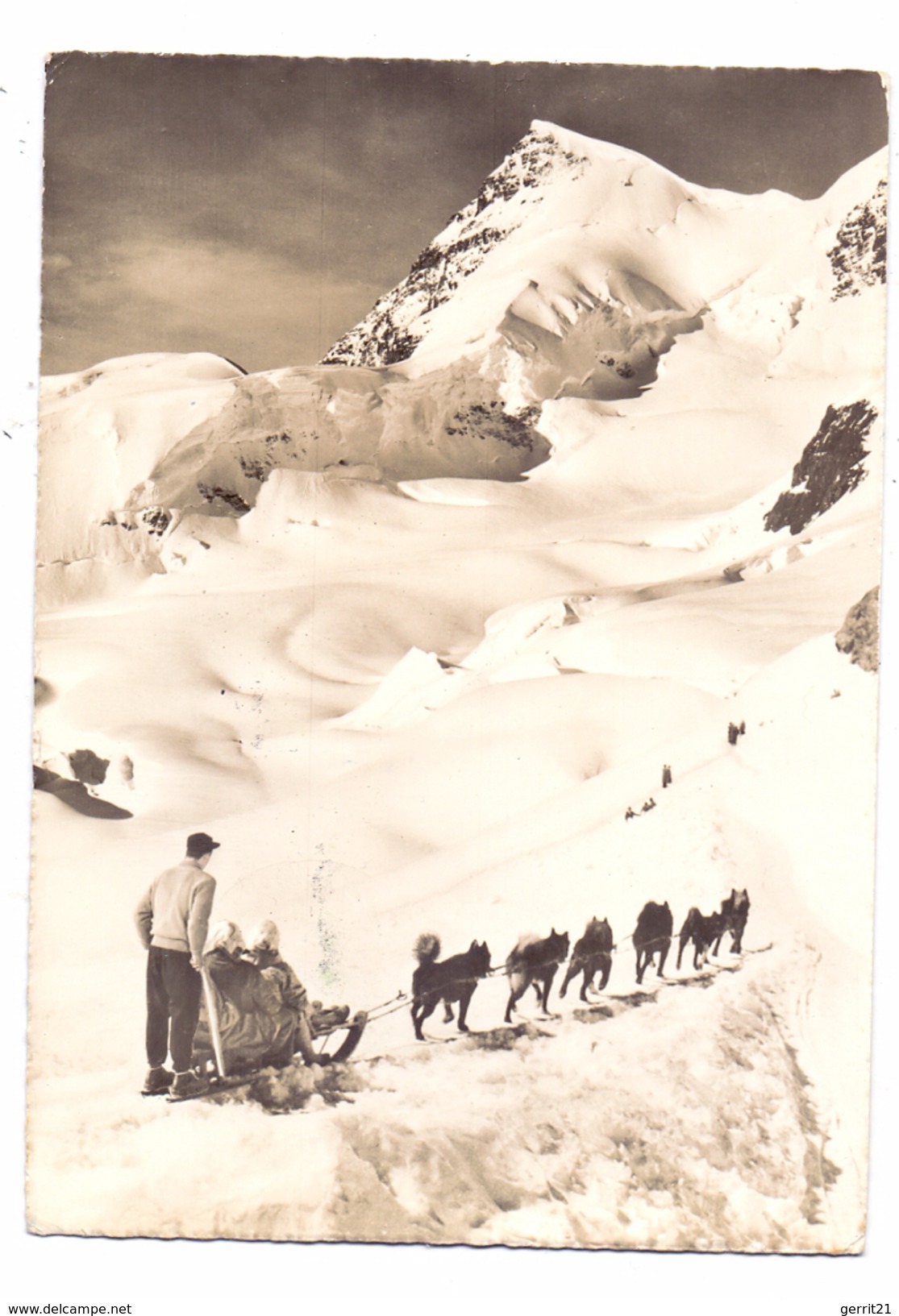 HUNDE - POLARHUNDE / SCHLITTENHUNDE, Jungfraujoch / Schweiz, 1965 - Hunde