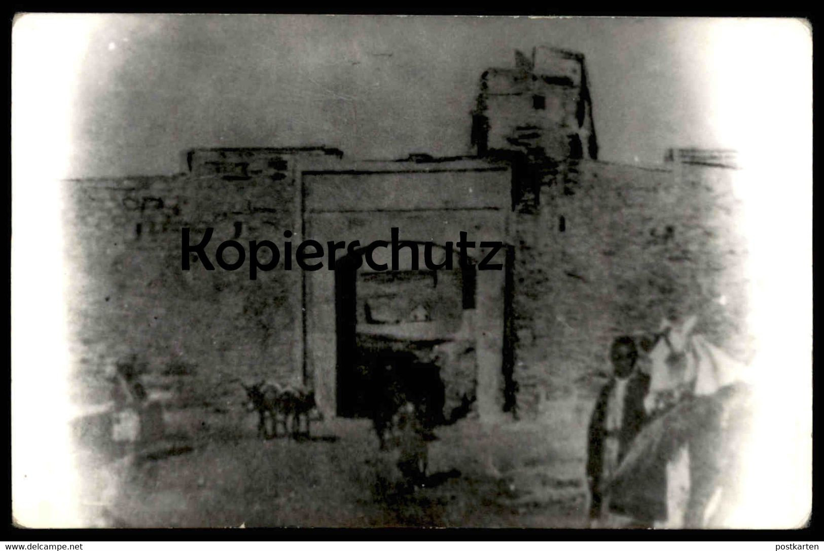 ALTE KARTE FOTO MOSUL TOR PFERD SCHIMMEL Mossoul Irak Iraq Gate Horse Photo Cpa Mossul Postcard AK Ansichtskarte - Iraq