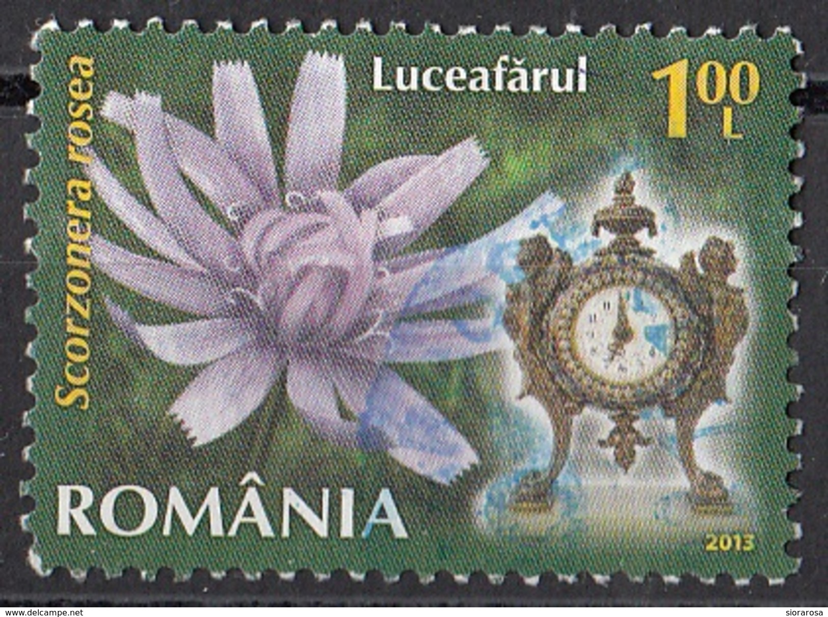 Romania 2013 Fiori Flowers Scorzonera Rosea Used Viaggiato - Usati