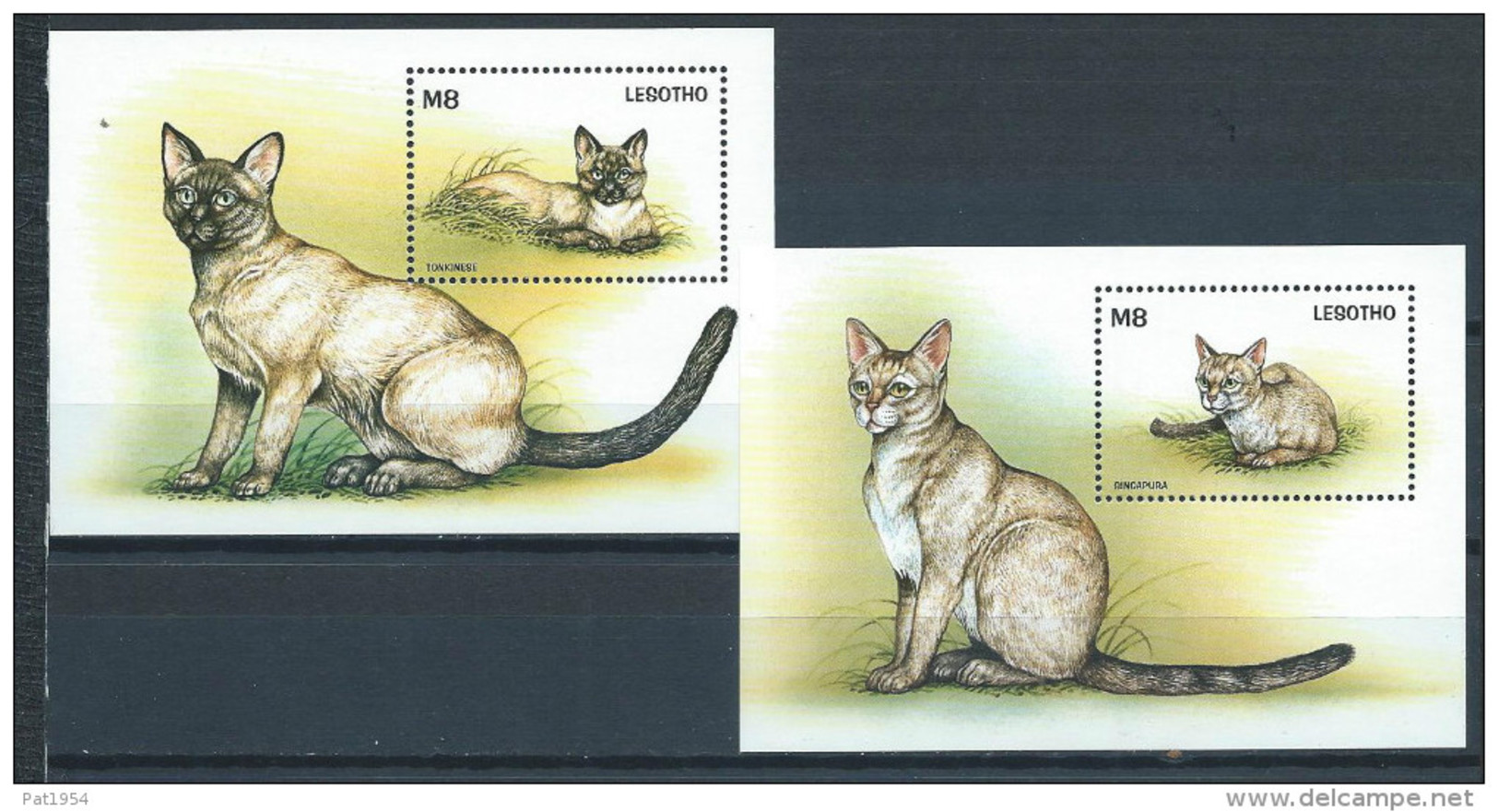 Lesotho 1998 Blocs Neufs N°127 Et 131 Avec Chats - Hauskatzen