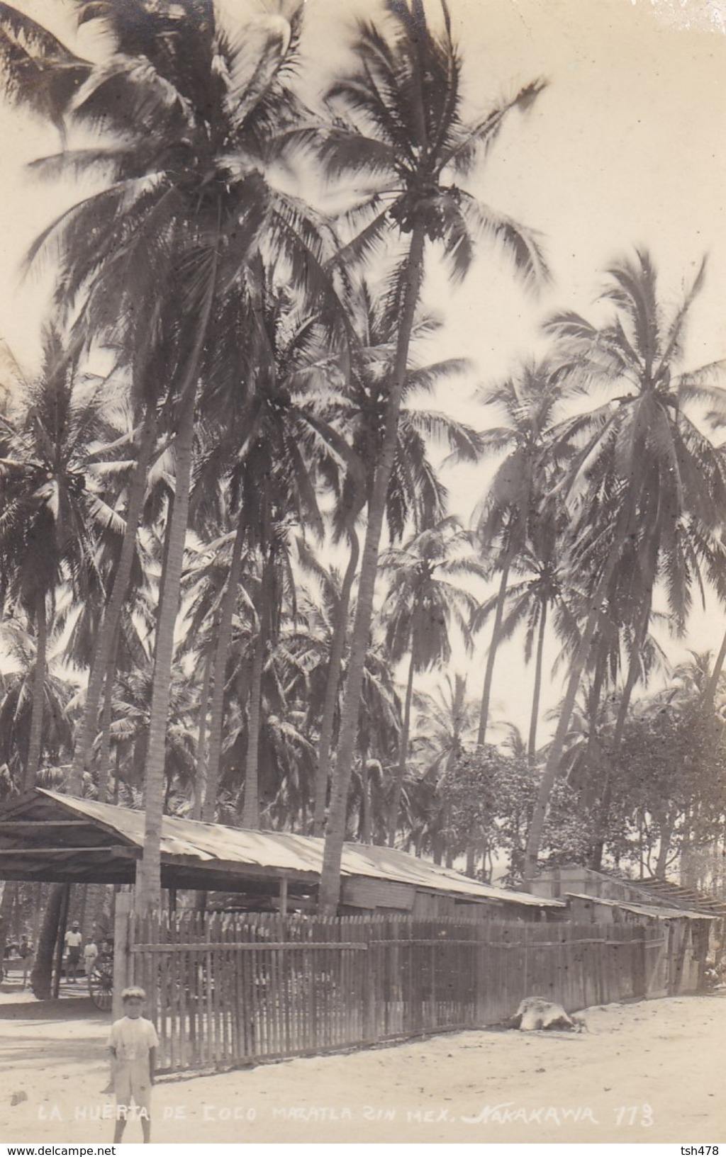 Carte Photo---MEXIQUE--MAZATLA--La Huerta De Coco--kakakawa---voir 2 Scans - Mexique