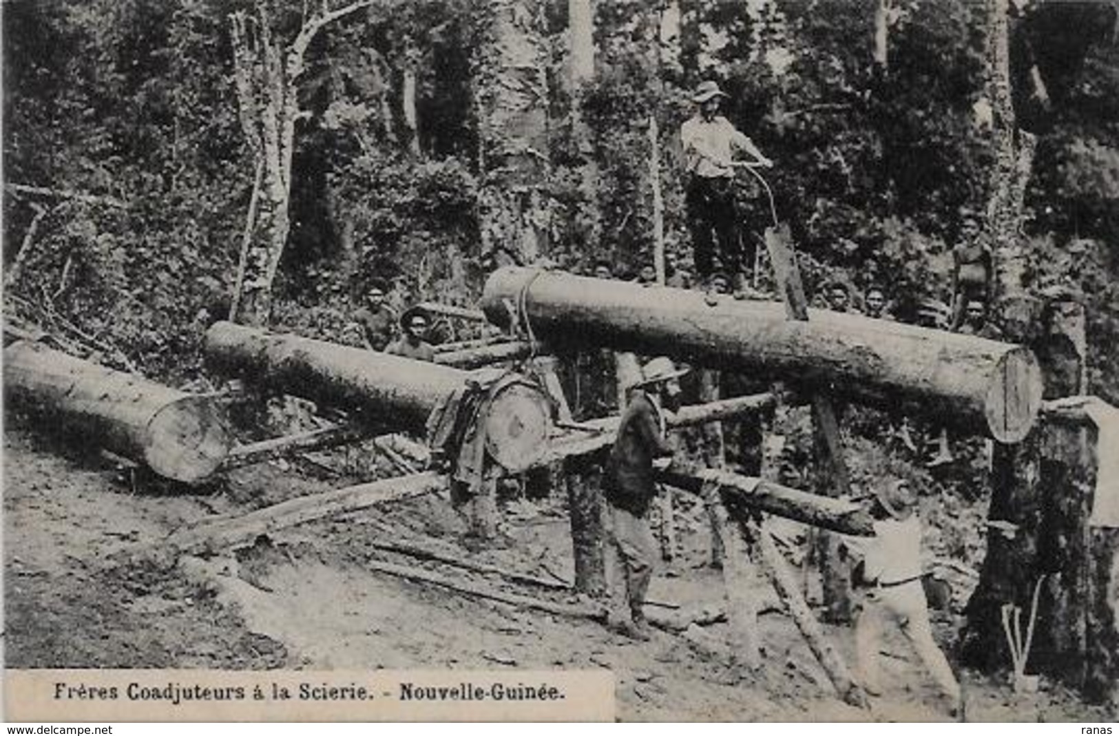 CPA Nouvelle Guinée Océanie Scieur De Long Métier Du Bois écrite - Papouasie-Nouvelle-Guinée