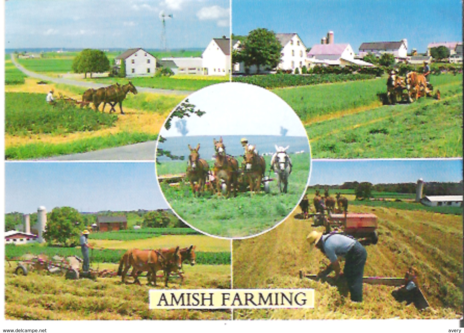 Amish Farming  Greetings From "The Amish Country" - Other & Unclassified
