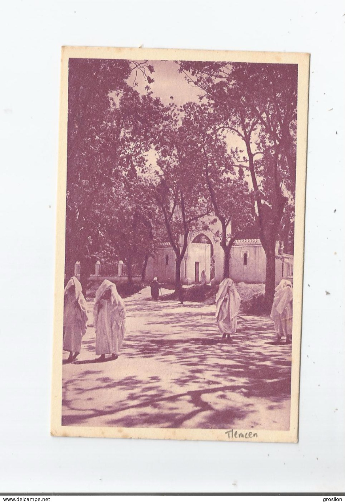 TLEMCEN SUR LA ROUTE DU CIMETIERE INDIGENE 1930 - Tlemcen