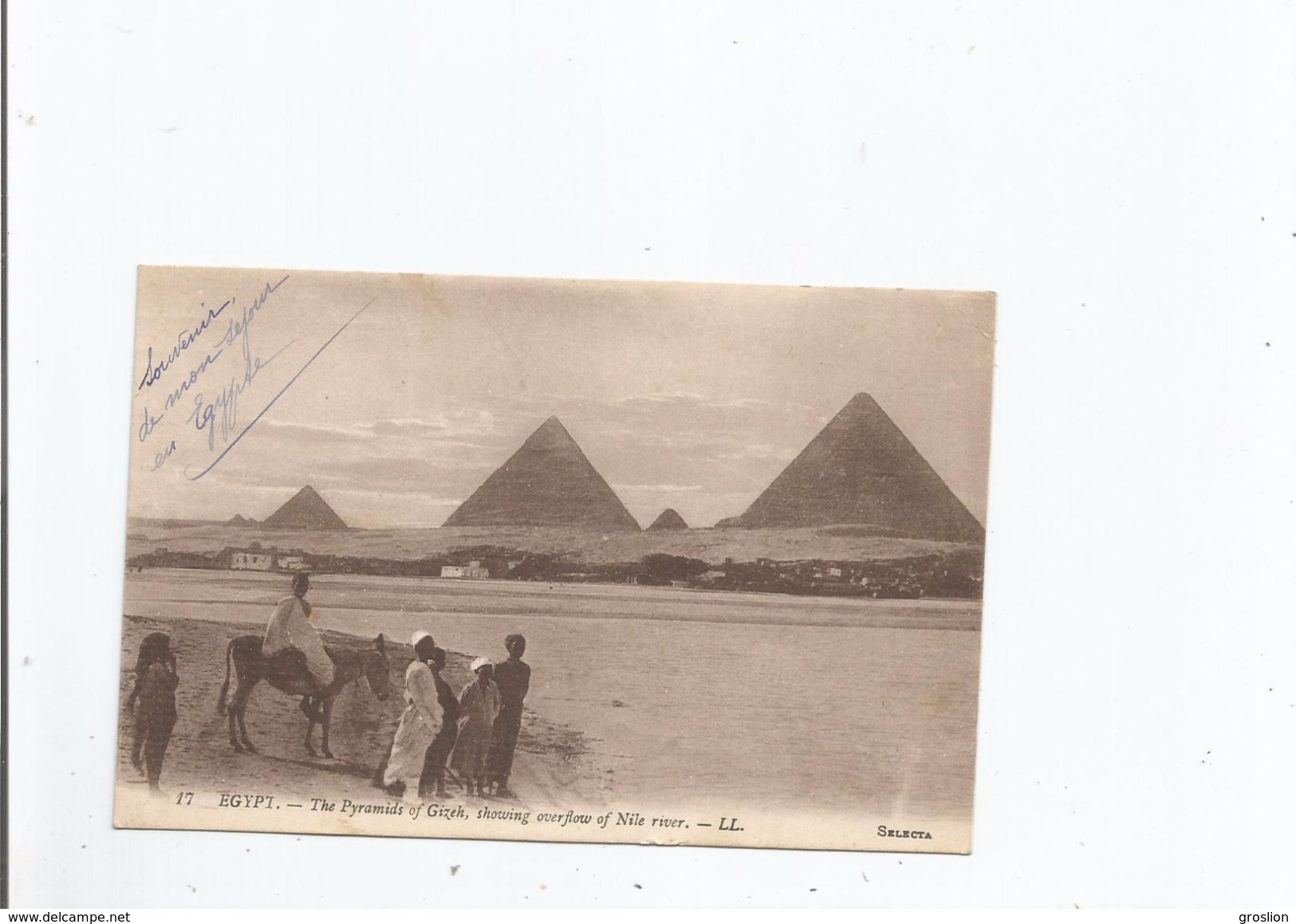 EGYPT 17 THE PYRAMIDS OG GIZEH SHOWING OVERFLOW OF NILE RIVER 1938 - Gizeh