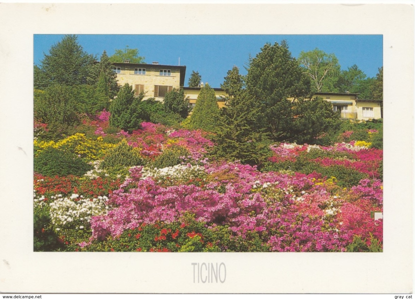 TICINO, Parco Botanico San Grato, Carona, Unused Postcard [19582] - Carona 