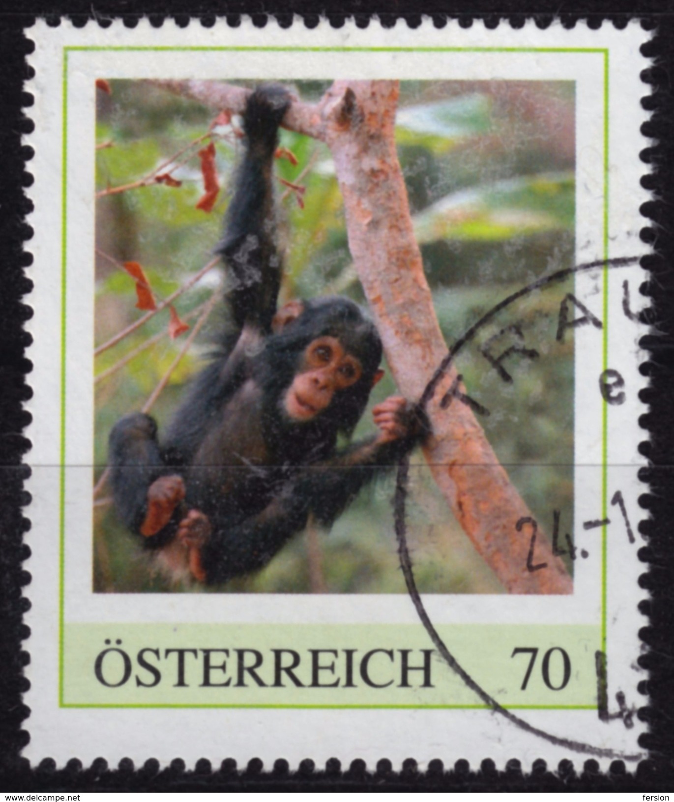 Monkey Chimpanzee / 2000´s Austria - Personal Stamp / USED / Traun - Chimpanzés