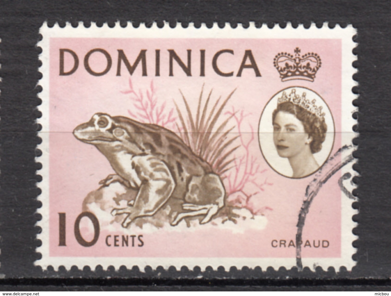 Dominique, Dominica, Grenouille, Frog, Élizabeth II - Frösche