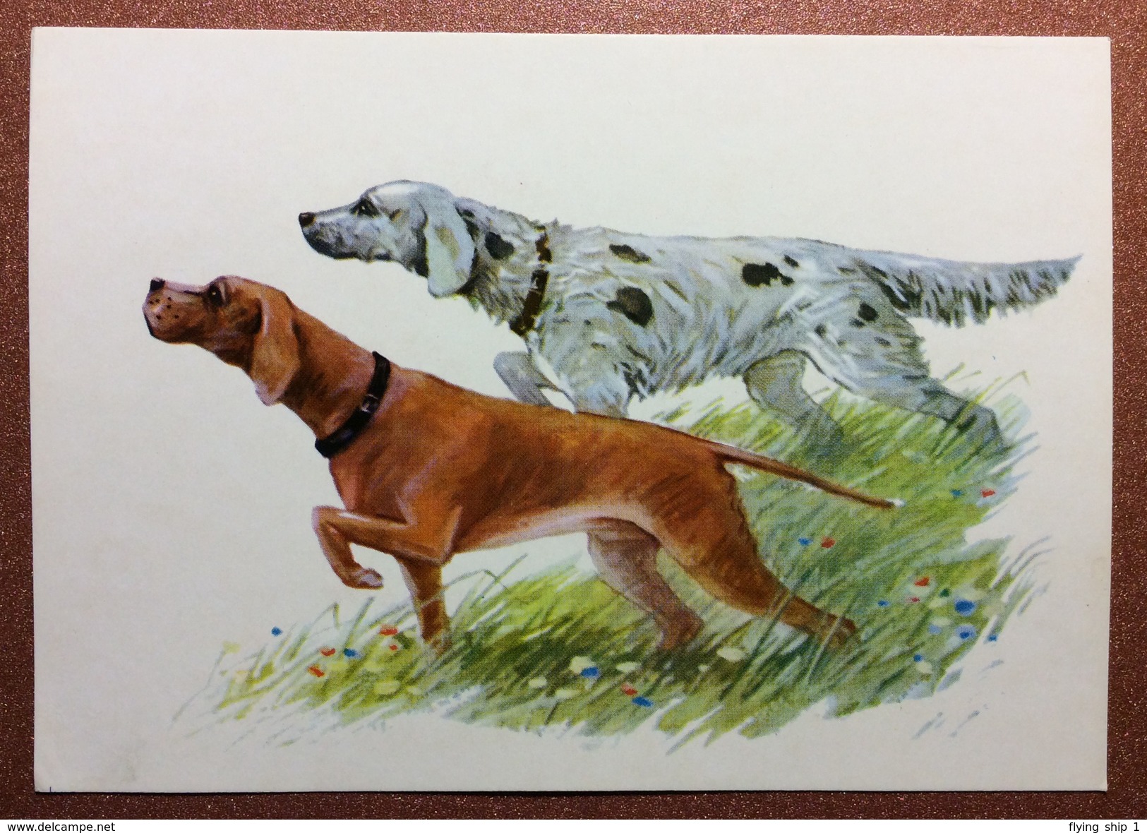 Vintage Russian Postcard 1972 By Aristov. Hunting Dogs - Setter And Pointer. - Hunde