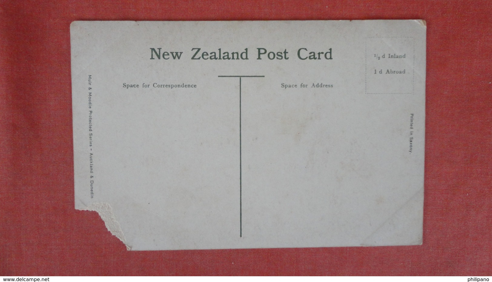 New Zealand Auckland  Albert Park  As Is Coner  Chip Ref --2500 - New Zealand