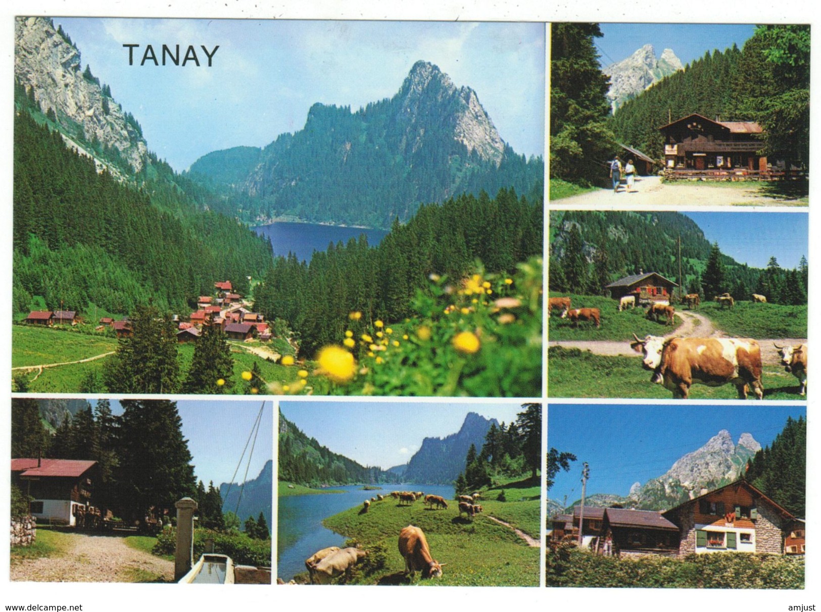 Suisse // Schweiz // Switzerland // Valais // Vouvry-Miex-Tanay - Vouvry