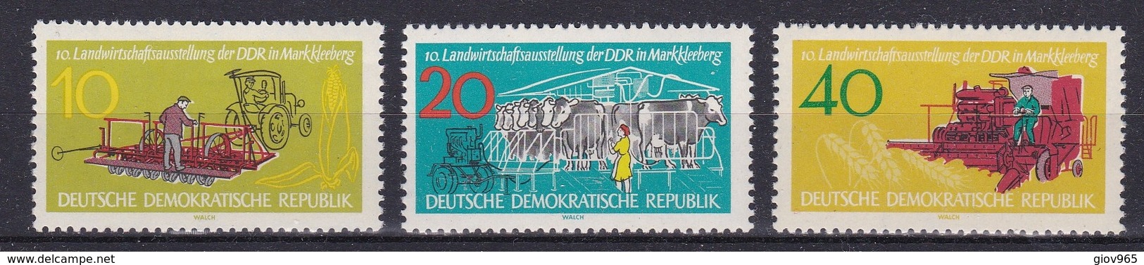 DDR Xx 1962      MI 895-97   -  Postfrisch  -  VEDI  SCAN. - Ungebraucht