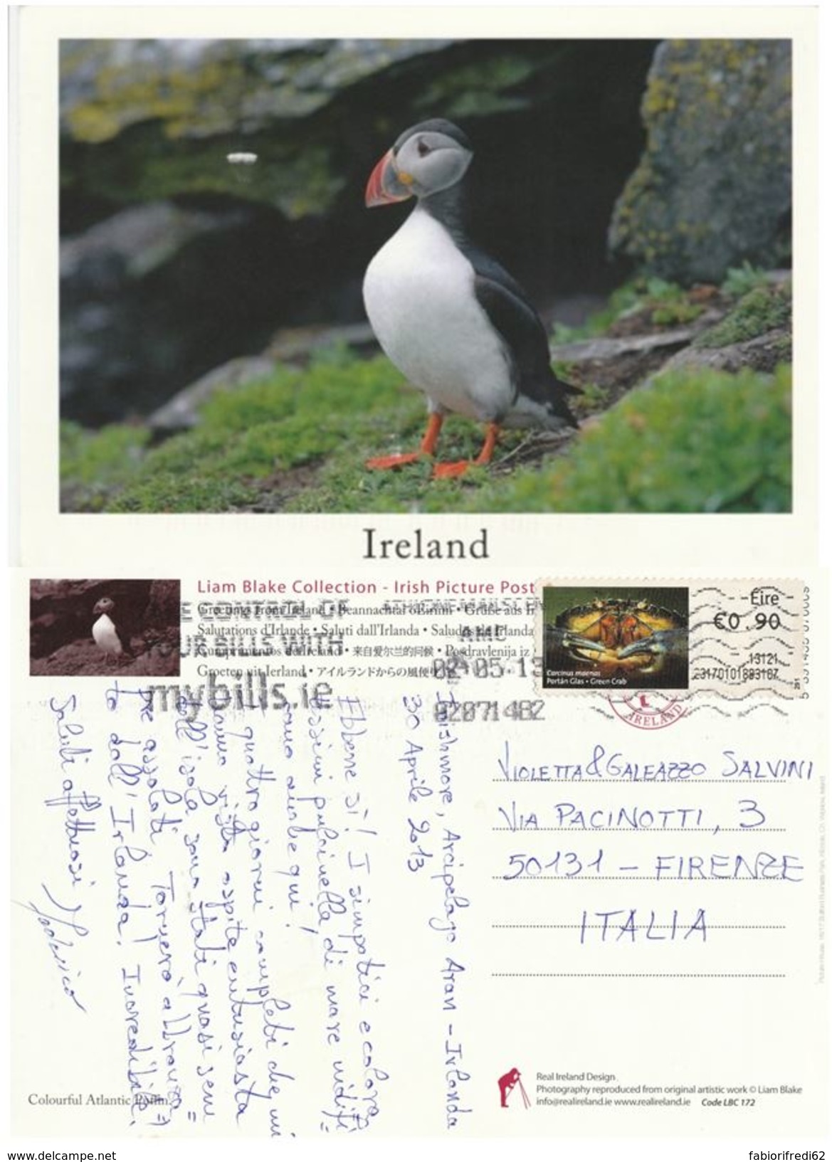 CARTOLINA IRLANDA 2013 UCCELLO ANNULLO SPECIALE (VP554 - Storia Postale