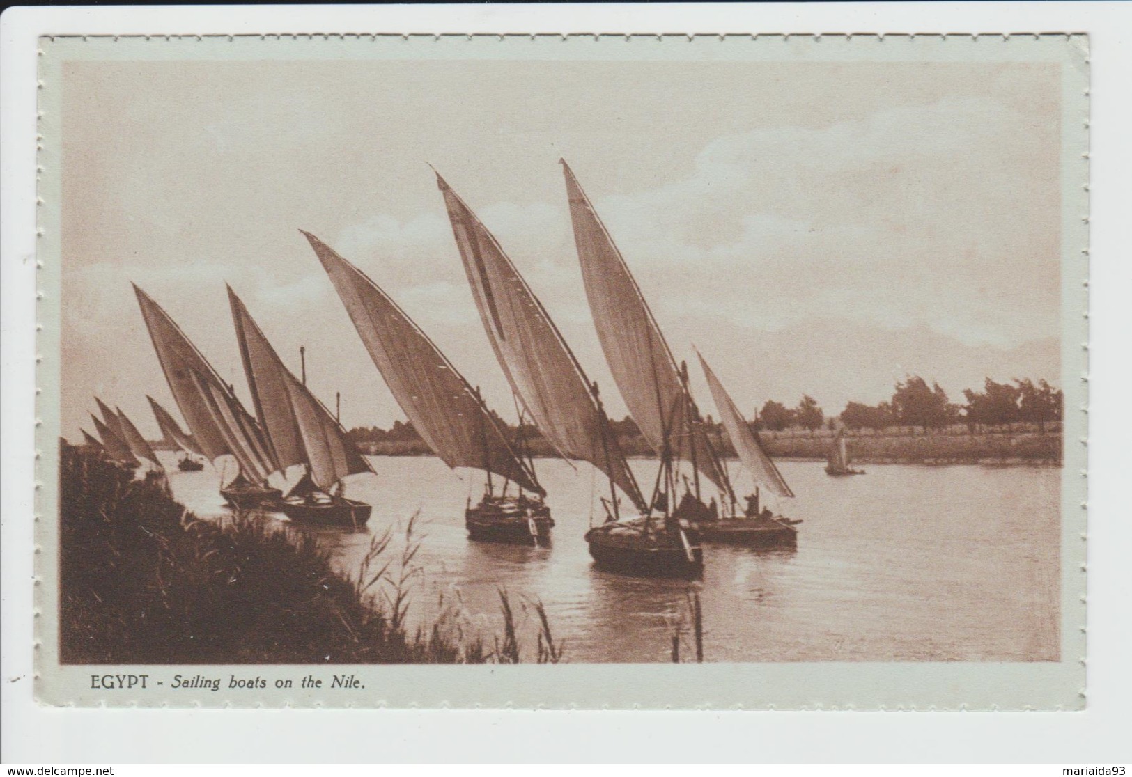 EGYPTE - SAILING BOATS ON THE NILE - Altri & Non Classificati