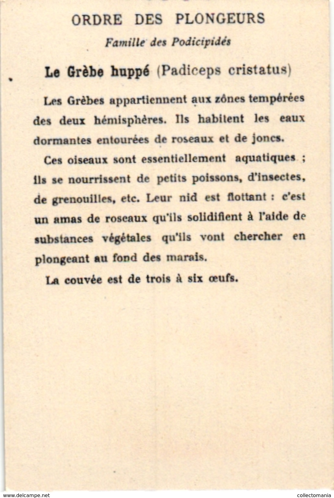 25 Cards chromo litho c1895  Ordre des Chanteurs Birds with  their Nests and  Eggs la Grue Crane Kestler Reed Warbler