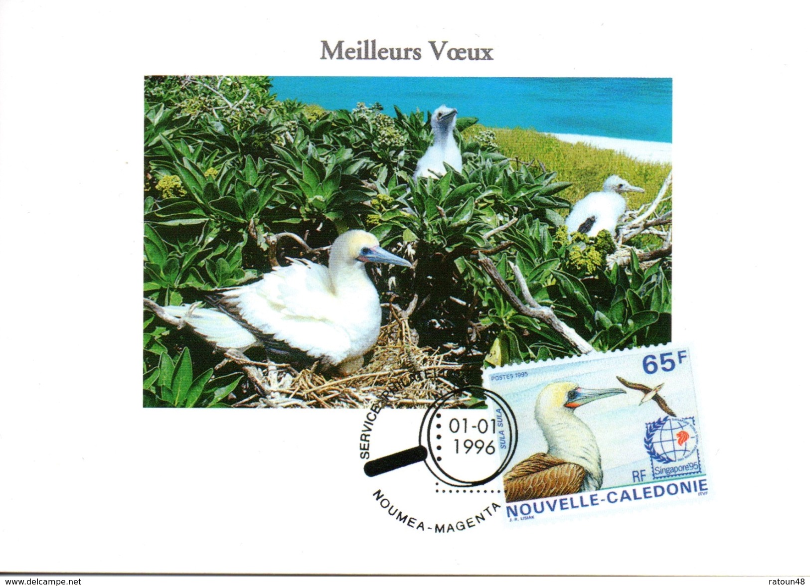 Carte De Voeux De L' OPT Nouvelle Calédonie - TP Repiquer N° 697  Du 01.01.96 - Entiers Postaux