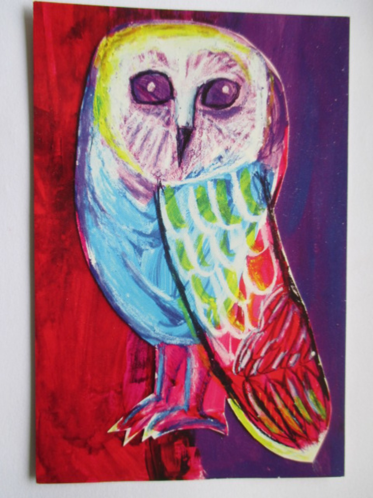 Jo Jo - The Owl By Lila (age 8)  -  Sidney  - Chouette Australienne - Birds