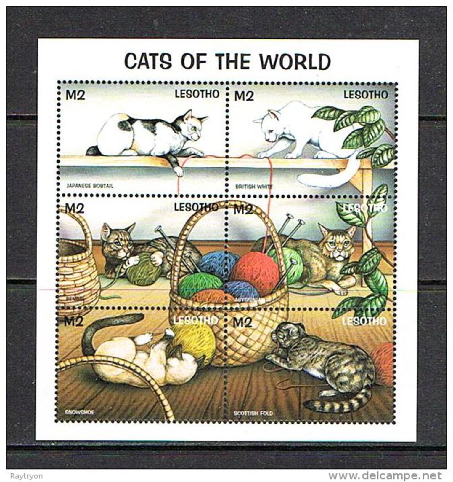 Lesotho 1998 Sc # Bf 1104   MNH **  Cats Of The World - Domestic Cats