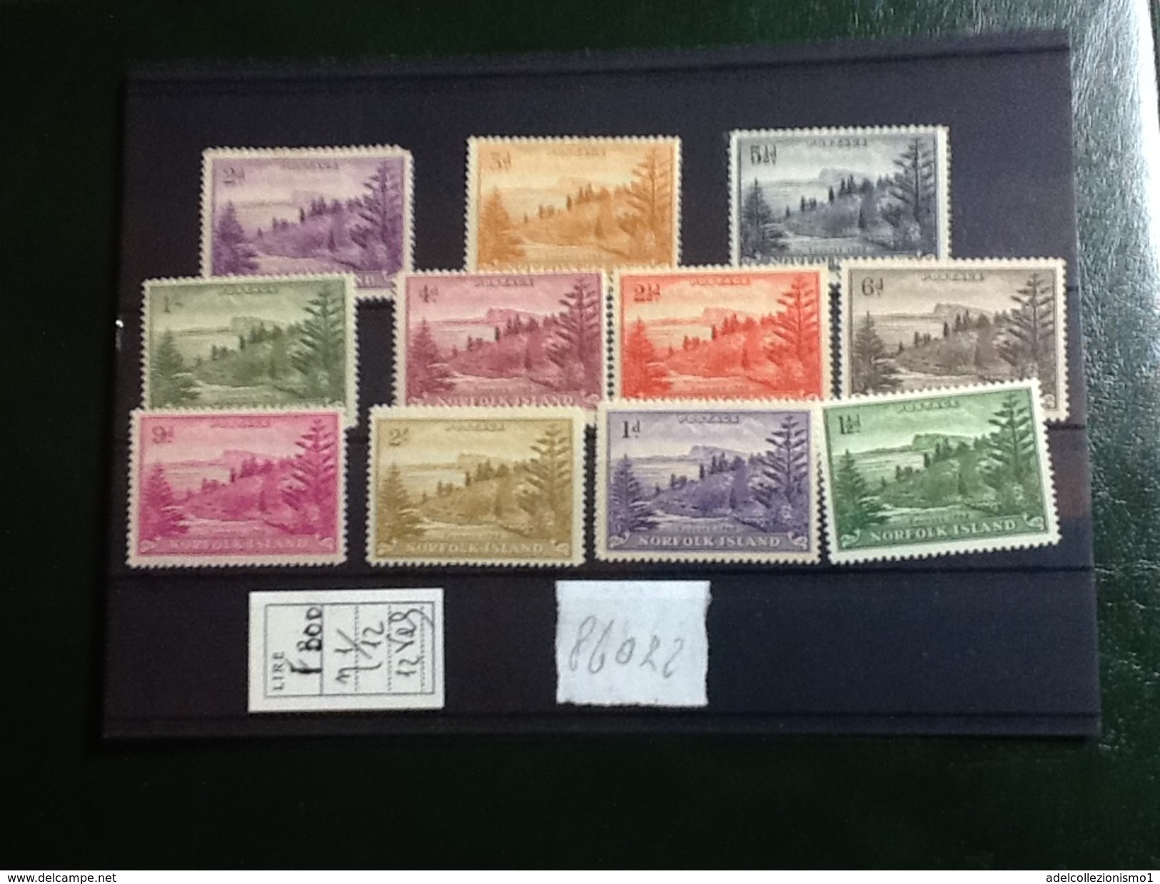 86116) Loltto Di Francobolli Di Norfolk-serie Corrente-n.2-12-nuovi  MNH** - Isola Norfolk