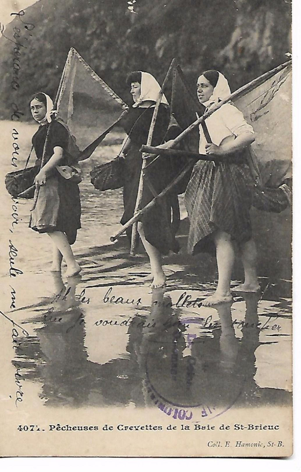 Pecheuses  De  Crevettes   De  La  Baie  De  St- Brieuc - Sonstige & Ohne Zuordnung