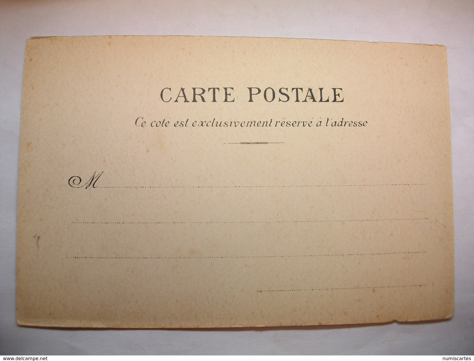 Carte Postale Fontainebleau (77) Parc Du Chateau - La Treille Du Roi  (CPA Dos Non Divisé Non Circulée ) - Fontainebleau