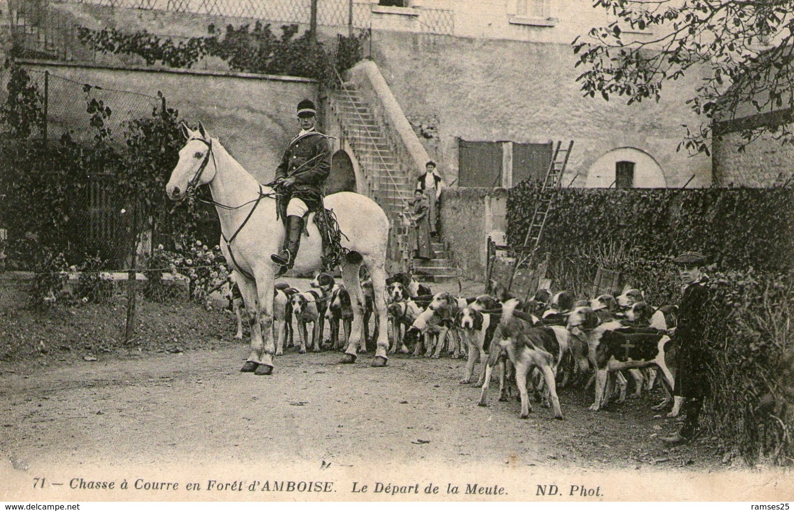 (19)  CPA  Amboise   (Bon Etat)chasse A Courre Depart De La Meute - Amboise