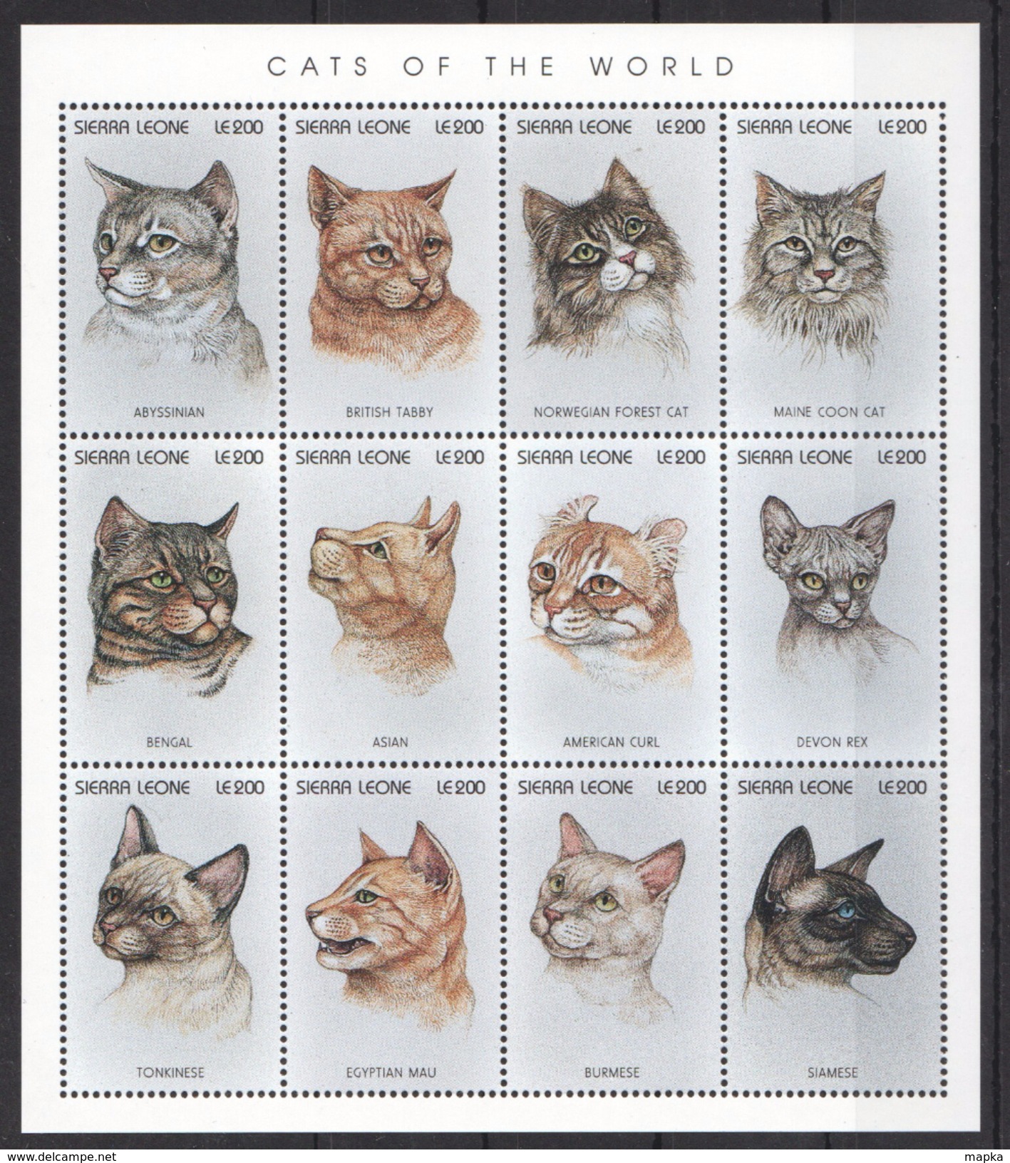 C279 SIERRA LEONE FAUNA PETS CATS OF THE WORLD 1KB MNH - Hauskatzen