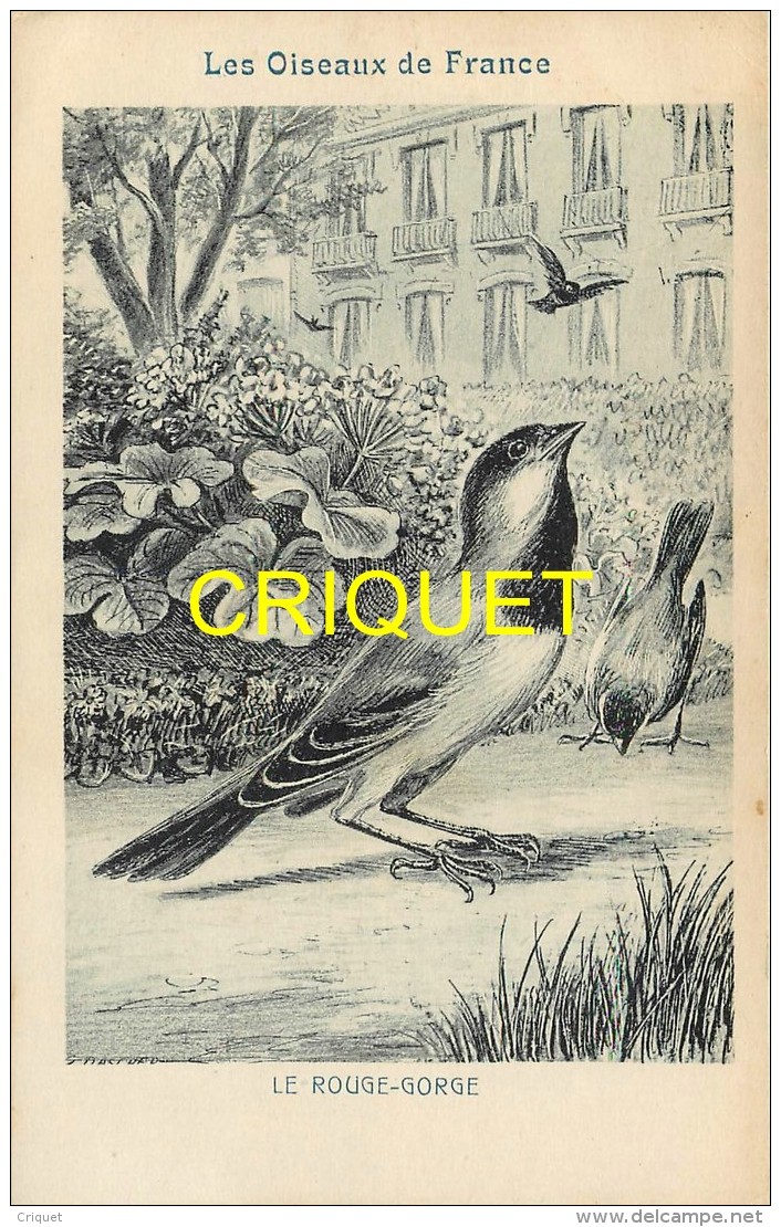 Format Carte Postale, Bon Point Collection Charrier, Les Oiseaux De France, Le Rouge-gorge, Descriptif Au Verso - Ohne Zuordnung