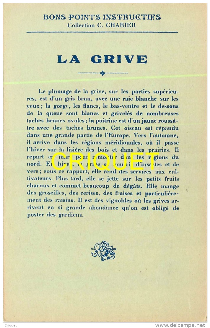 Format Carte Postale, Bon Point Collection Charrier, Les Oiseaux De France, La Grive, Descriptif Au Verso - Non Classés