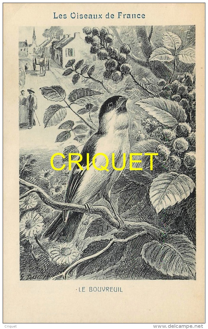 Format Carte Postale, Bon Point Collection Charrier, Les Oiseaux De France, Le Bouvreuil, Descriptif Au Verso - Non Classés