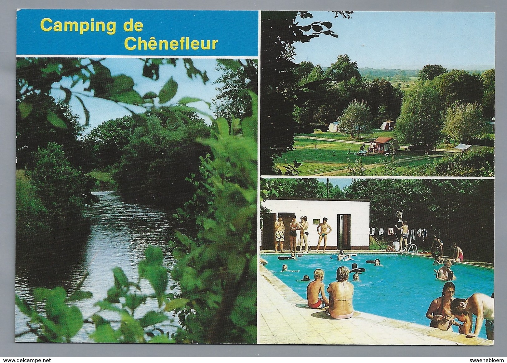 BE.- TINTIGNY. Camping De Chenefleur.  2 Scans. - Tintigny